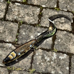 Gigatail TERRA - Natural Burbot 50cm