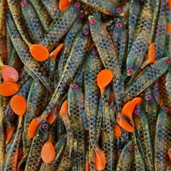 Gigashad Hot Motoroil Perch 10cm - 5pcs