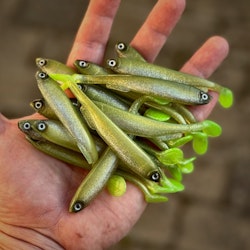 Gigashad Löjs 10cm - 5pcs
