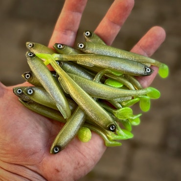 Gigashad Löjs 10cm - 5pcs