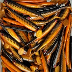 Gigashad Skitmört 10cm - 5pcs