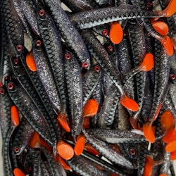 Gigashad Sucker Punch 10cm - 5pcs