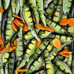 GigabiteV2 UV Perch 8cm - 4pcs