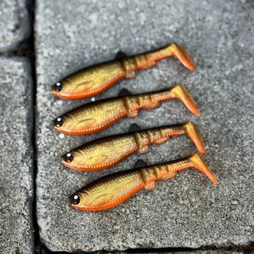GigabiteV2 Golden Roach 8cm - 4pcs
