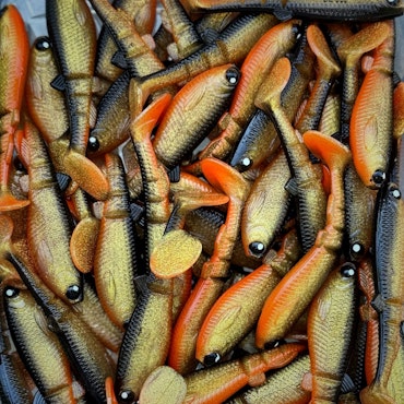 GigabiteV2 Golden Roach 8cm - 4pcs