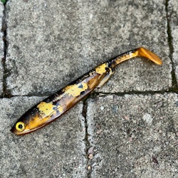 Gigashad Spotted Bullhead 20cm