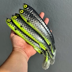 Gigashad Hot Belly Roach 27cm