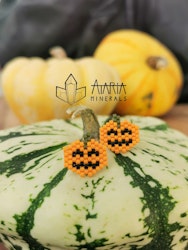 Örhängen Pumpa Miyuki