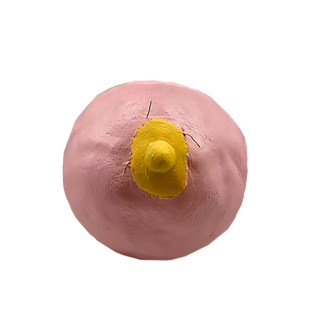 Rosa tutte med hår