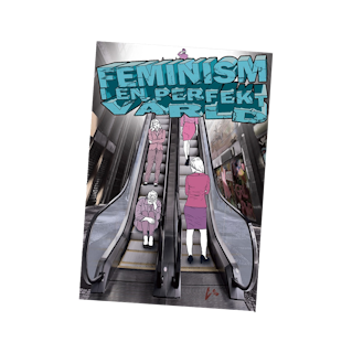 Feminism i en perfekt värld