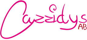 Cazzidyshop