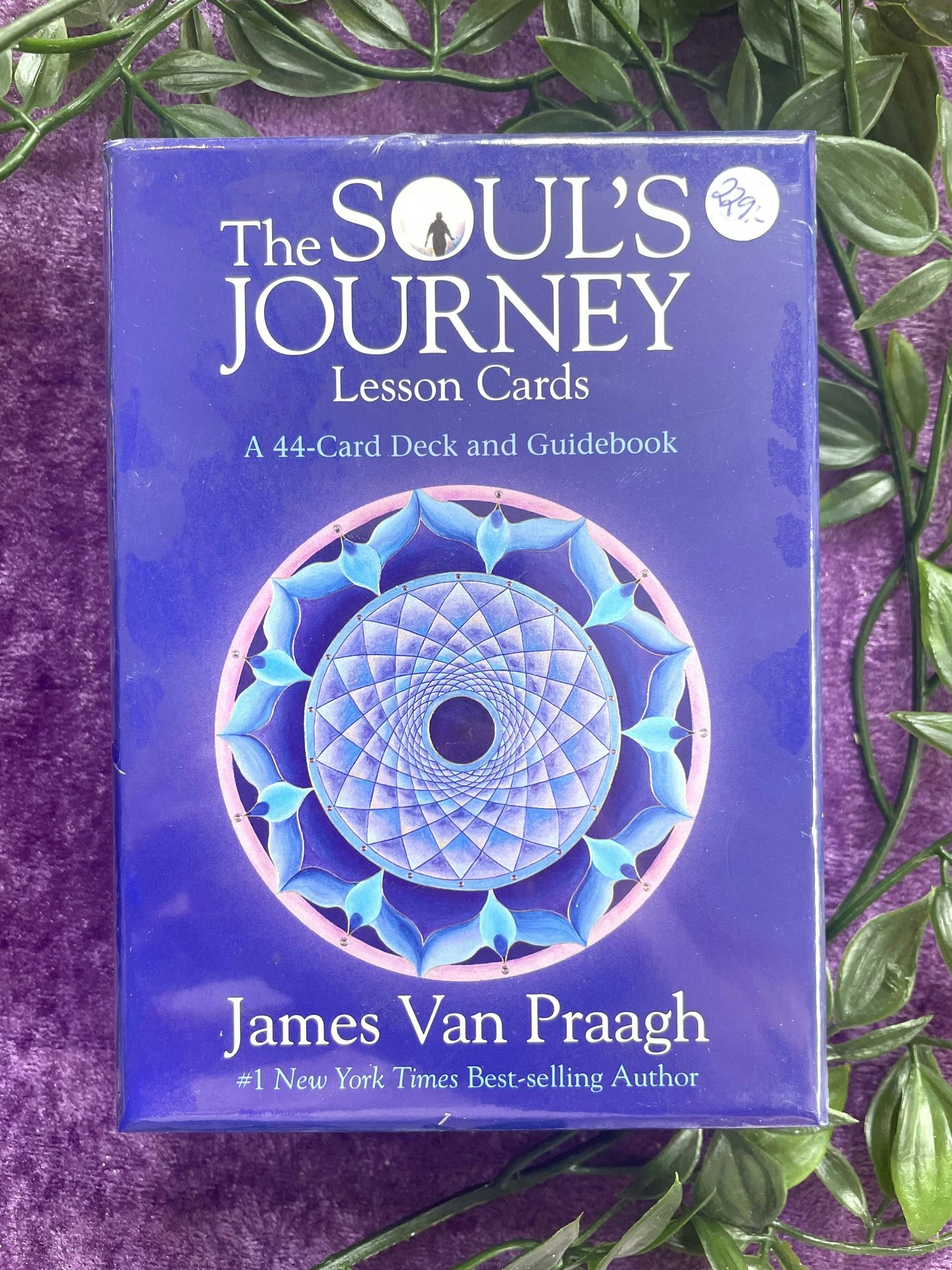 The Souls Journey