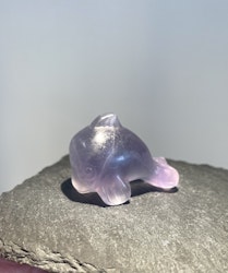 Delfin Regnbågsfluorit
