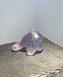 Delfin Regnbågsfluorit