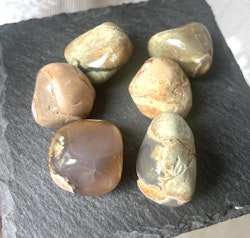 ThunderEgg