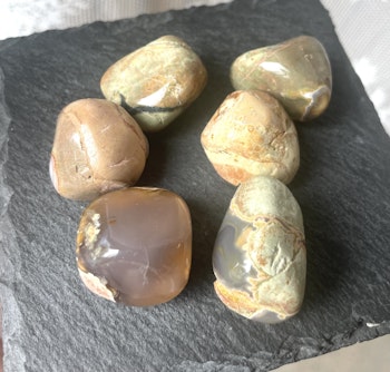 ThunderEgg