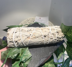 Vit Salvia