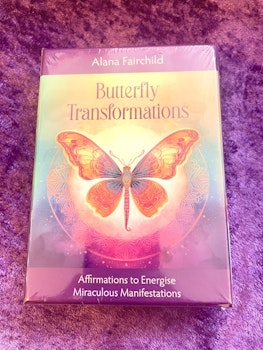 Butterfly Transformations🇬🇧