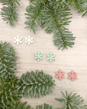 Örhängen, snöflinga studs