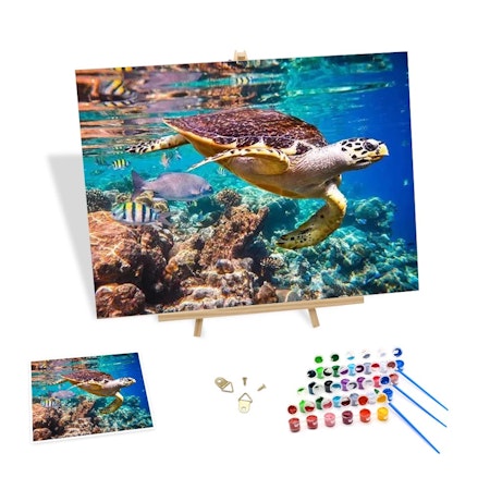 Painting by numbers, sköldpadda nr2, 40x50cm, med ram.