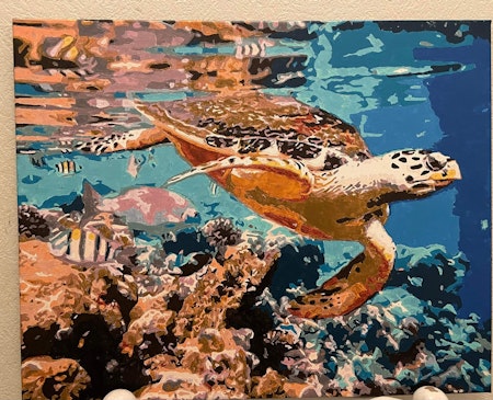 Painting by numbers, sköldpadda nr2, 40x50cm, med ram.