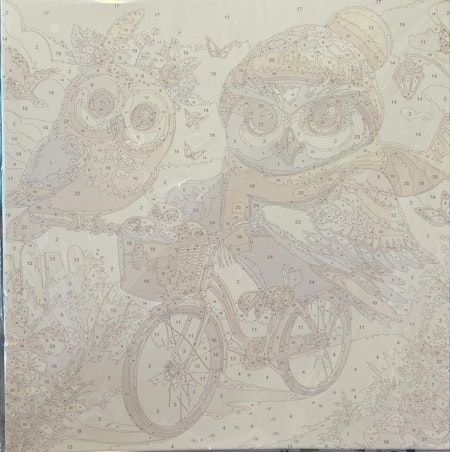 Painting by numbers, uggla på cykel, 40x40cm, med trästomme.