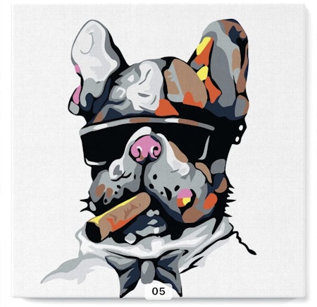 Painting by number för nybörjare, 20x20cm, cool hund