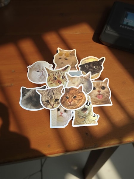 Cool kattmix, Klistermärken av vinyl (10st)