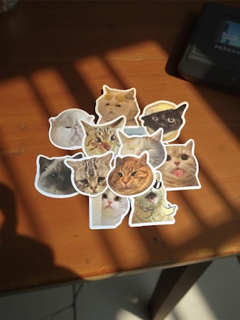 Cool kattmix, Klistermärken av vinyl (10st)
