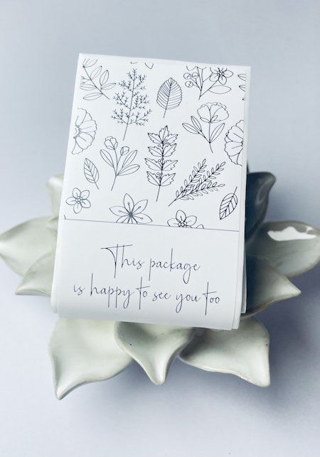 Paketförslutare, this package is happy to see you too, 80x50mm (20st)