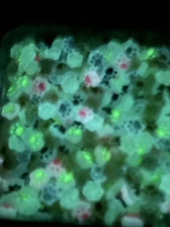 Nail art. Tassar, glow in the dark, 10mm (50st)