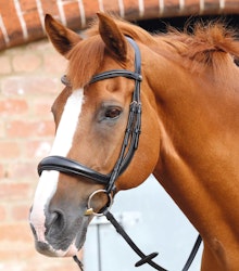Premier Equine Lambro Anatomiskt träns