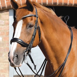 Premier Equine Abriano Anatomiskt Kandar