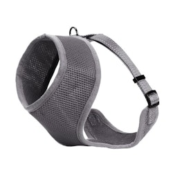 Iris sele Mesh