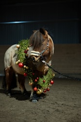 Presentkort