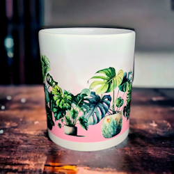 Monstera
