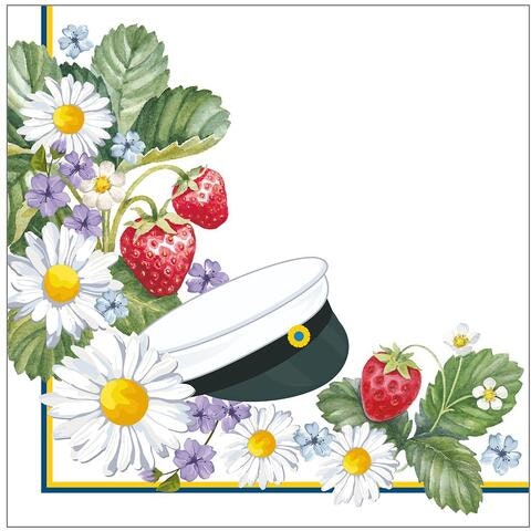 servett, bellebi.se, studenten, examen, skolavslutning
