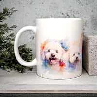 Bichon frisé