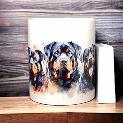 Rottweiler