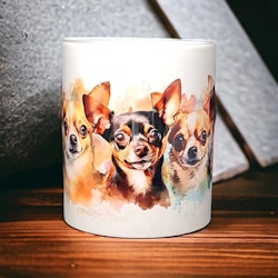 Chihuahua