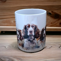 Engelsk springer spaniel