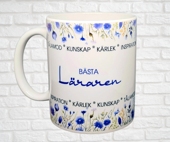 Bästa läraren