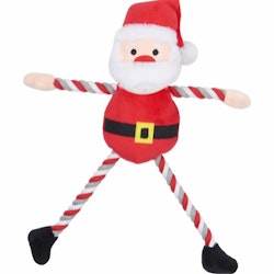 Repleksak Tomte