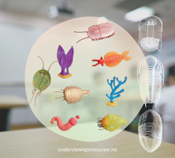Livet i Kambrium, 8 stk realistiske miniatyrfigurer