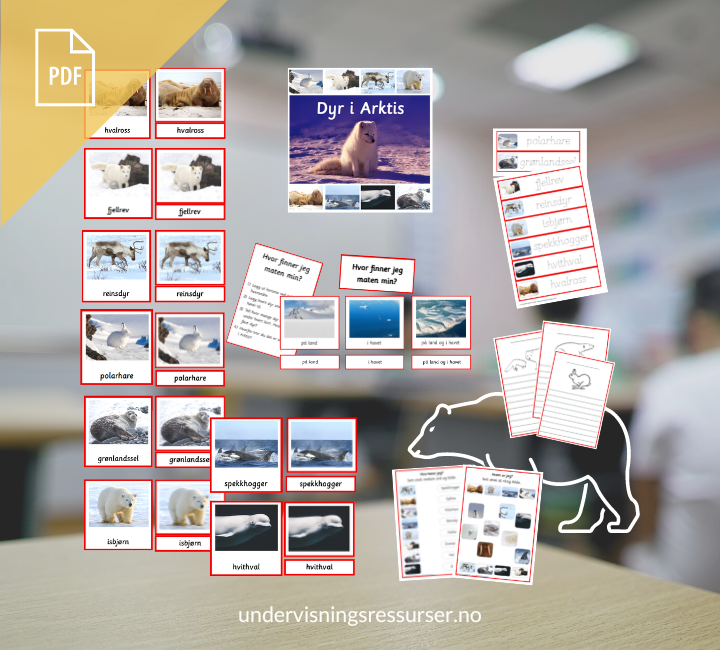 PDF Dyr i Arktis - Tredelskort