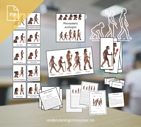 PDF Menneskets evolusjon - menneskets utvikling - Kulturfag matchingkort