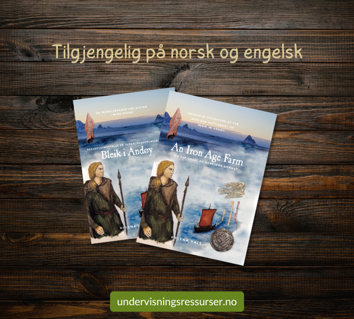 En jernaldergård ved kysten i Nord-Norge: Bleik i Andøy - Harcover bok