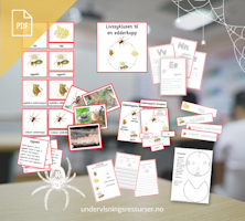 PDF Edderkopp - edderkoppens livssyklus - Montessori matchingkort