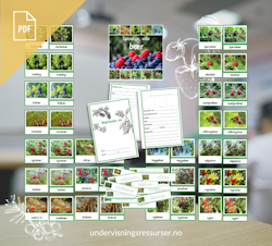PDF Spiselige, ville bær - undervisningsopplegg for småtrinnet - høsting av naturen