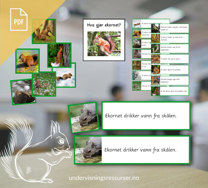 PDF Setningskort: Hva gjør ekornet? - verb og preposisjoner